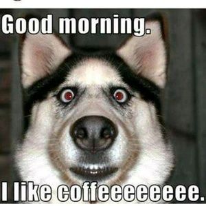 Meet your Posher, Michele